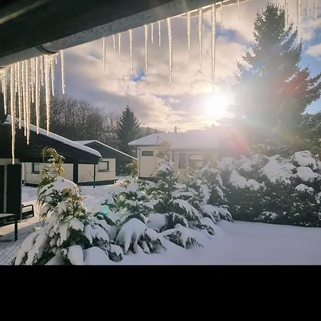 Pure! - Modern - Natuerlich - Pur *