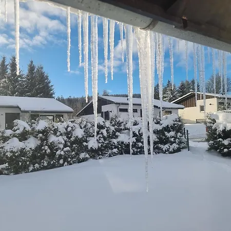 Pure! - Modern - Natuerlich - Pur *