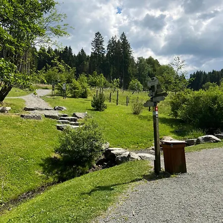 Pure! - Modern - Natuerlich - Pur Casa de Férias Willingen (Upland)