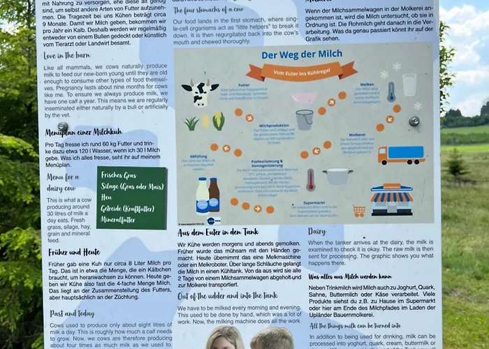 Pure! - Modern - Natuerlich - Pur Hébergement de vacances Willingen (Upland)